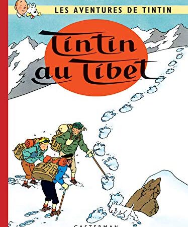 Les Aventures de Tintin 20: Tintin Au Tibet