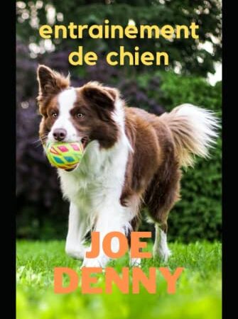 ENTRAINEMENT DE CHIEN: Entraînez votre chien et élevez. Guidez votre adorable chien pour une course rapide.