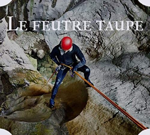 Le Feutre Taupe