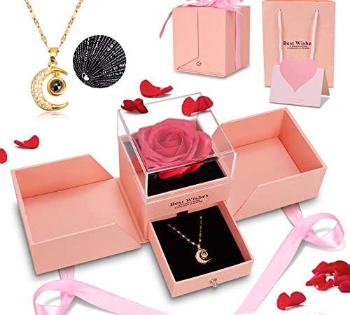 Rosa Stabilizzata Idee Regalo Natale Donna, La Bella e La Bestia Rosa Eterna con Collana Regalo Donna Compleanno Scatola Regalo san Valentino Festa della Mamma Anniversario Matrimonio per Lei(Rosa)