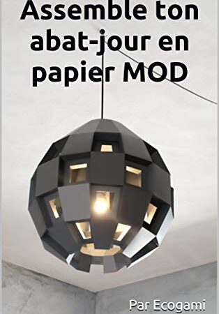 Assemble ton abat-jour en papier MOD: Puzzle 3D | Lampe en papier | Patron papercraft (French Edition)