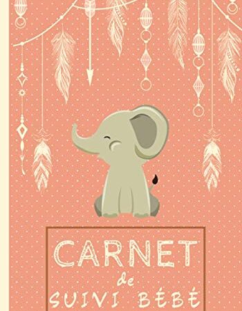 Carnet de Suivi Bébé: Un journal de bord parfait pour un suivi quotidien de votre bébé ( allaitement, sommeil, santé) - idéal pour les futures maman - Super idée cadeau