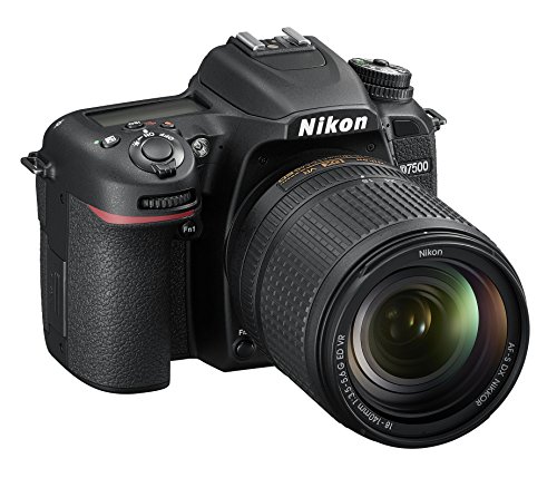 Miglior nikon d5600 nel 2022 [basato su 50 recensioni di esperti]