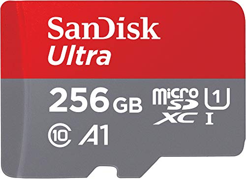 Miglior micro sd 256 gb nel 2022 [basato su 50 recensioni di esperti]