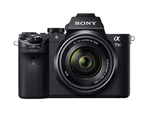 Miglior sony a7 nel 2022 [basato su 50 recensioni di esperti]