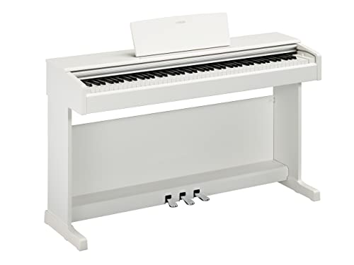 Miglior pianoforte nel 2022 [basato su 50 recensioni di esperti]