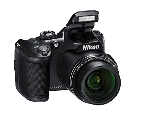 Miglior nikon d3500 nel 2024 [basato su 50 recensioni di esperti]