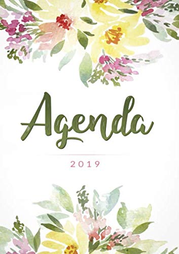 Miglior agenda 2019 nel 2024 [basato su 50 recensioni di esperti]