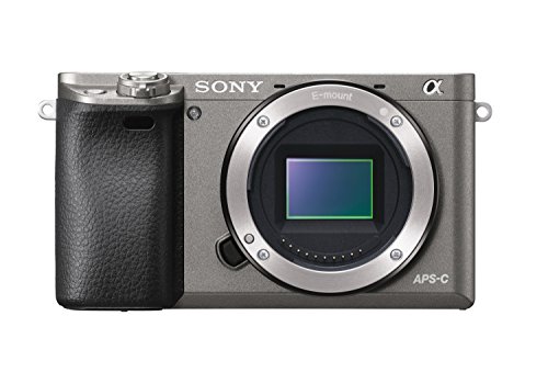 30 Miglior sony a6000 nel 2024 [basato su 50 recensioni di esperti]