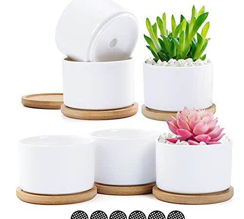 Coolty 6pcs Rotondo Sucuulent Erba Vaso, Vasi per Piante Grasse con bambù Vassoio, Cactus Vaso per la Casa e L'Ufficio Perfetto Idea Regalo, 8.1CM