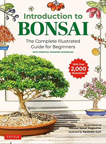 30 Miglior bonsai nel 2024 [basato su 50 recensioni di esperti]