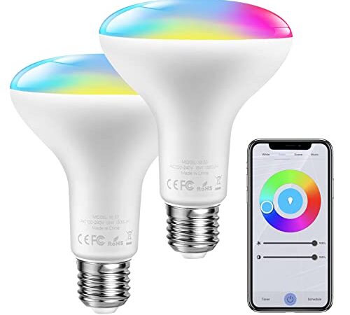 Lampadine Alexa, E27 Lampadine Smart, Lampadine Cambia Colore RGB con Controllo App, Dimmerabile, Funziona con Alexa/Google, 13W 1300LM, 2900~6000K, 2pack